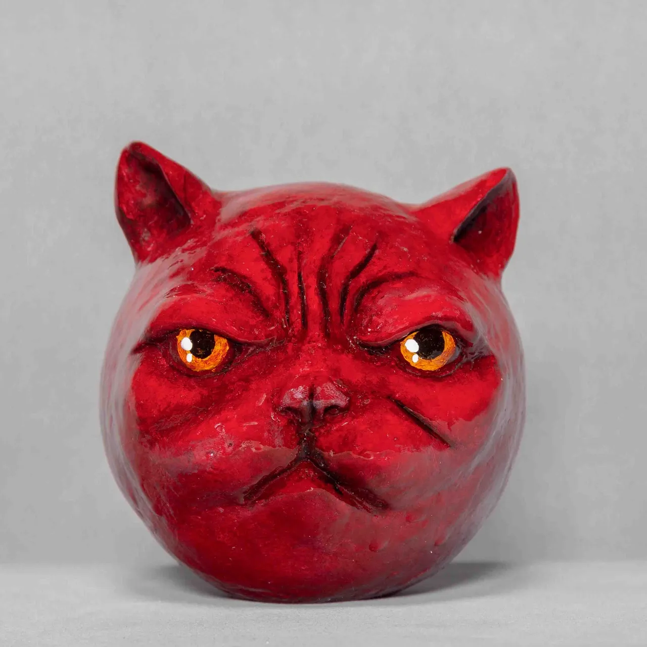 گربه گيلاسى رسيده